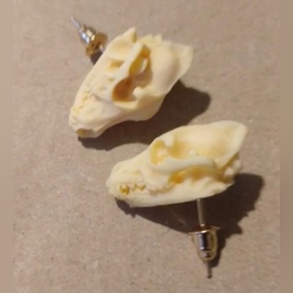 “Animal Skull” Dinosaur Sabertooth Wolf Dog Oddity Creepy Spooky Replica Studs - Picture 3 of 12